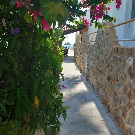 Anemomylos
